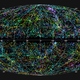 Illustration for article titled This is What 43,000 Galaxies Look Like On a Map
